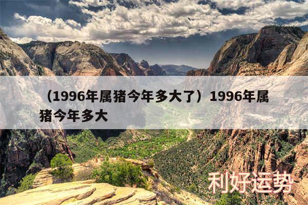 以及1996年属猪今年多大了1996年属猪今年多大