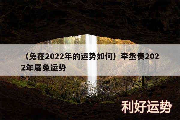 以及兔在2024年的运势如何李丞责2024年属兔运势