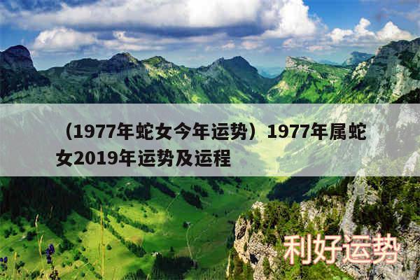 以及1977年蛇女今年运势1977年属蛇女2019年运势及运程