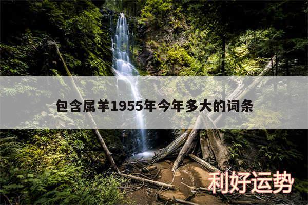 包含属羊1955年今年多大的词条