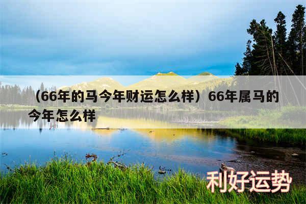 以及66年的马今年财运怎么样66年属马的今年怎么样