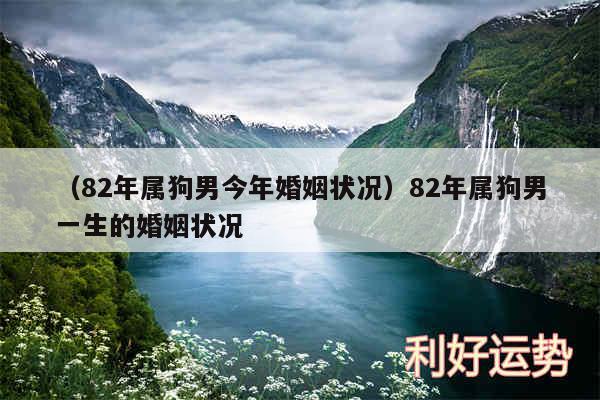 以及82年属狗男今年婚姻状况82年属狗男一生的婚姻状况