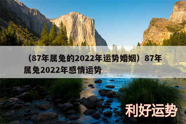 以及87年属兔的2024年运势婚姻87年属兔2024年感情运势