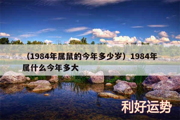 以及1984年属鼠的今年多少岁1984年属什么今年多大