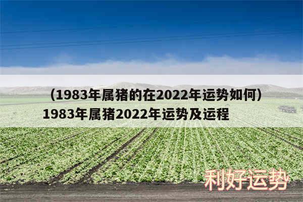 以及1983年属猪的在2024年运势如何1983年属猪2024年运势及运程