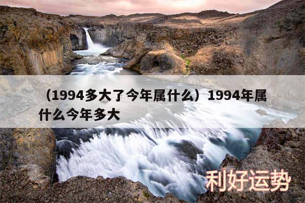 以及1994多大了今年属什么1994年属什么今年多大