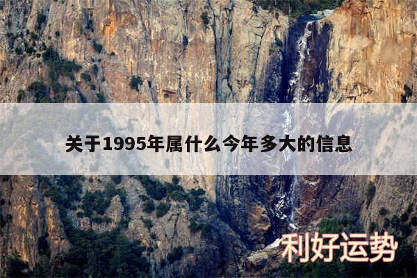 关于1995年属什么今年多大的信息