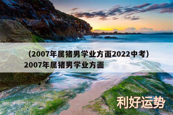 以及2007年属猪男学业方面2024中考2007年属猪男学业方面