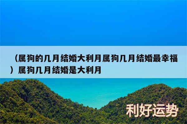 以及属狗的几月结婚大利月属狗几月结婚最幸福属狗几月结婚是大利月