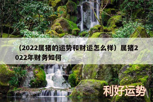 以及2024属猪的运势和财运怎么样属猪2024年财务如何