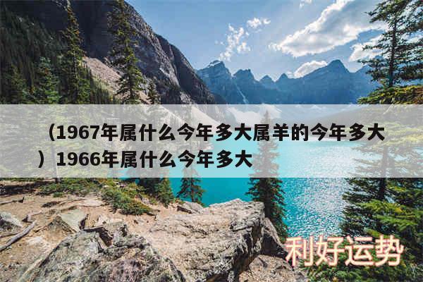 以及1967年属什么今年多大属羊的今年多大1966年属什么今年多大