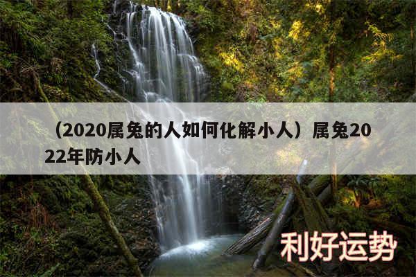 以及2020属兔的人如何化解小人属兔2024年防小人