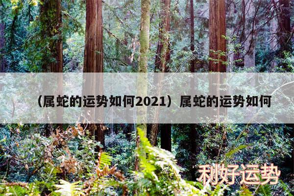 以及属蛇的运势如何2024属蛇的运势如何