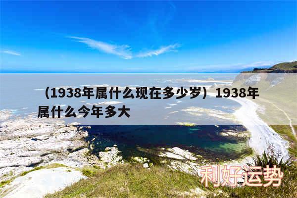 以及1938年属什么现在多少岁1938年属什么今年多大