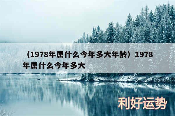 以及1978年属什么今年多大年龄1978年属什么今年多大