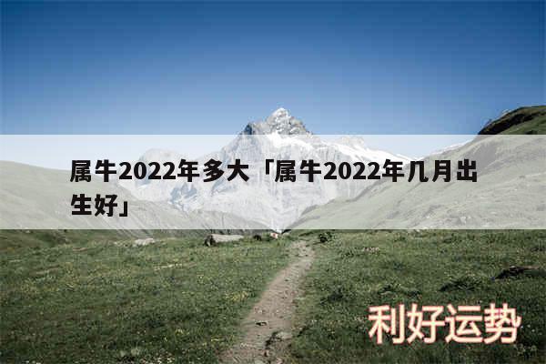 属牛2024年多大及属牛2024年几月出生好