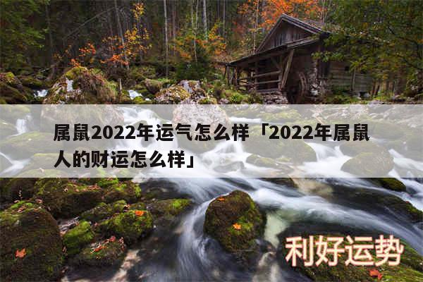 属鼠2024年运气怎么样及2024年属鼠人的财运怎么样