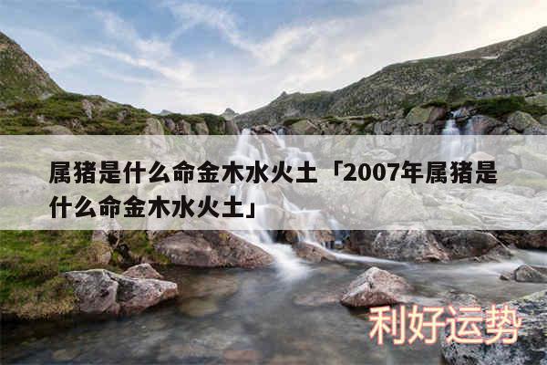 属猪是什么命金木水火土及2007年属猪是什么命金木水火土