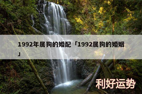 1992年属狗的婚配及1992属狗的婚姻