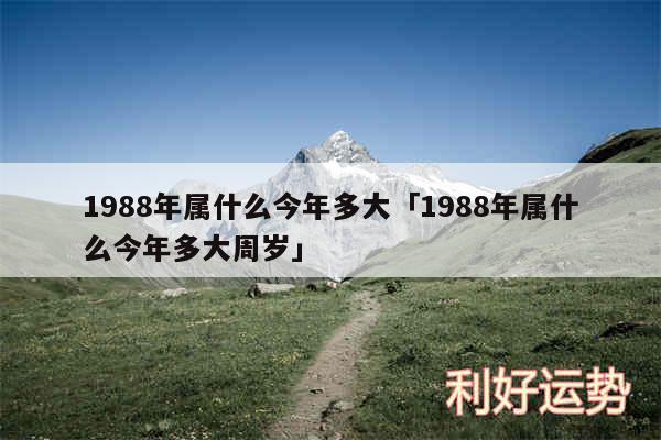 1988年属什么今年多大及1988年属什么今年多大周岁