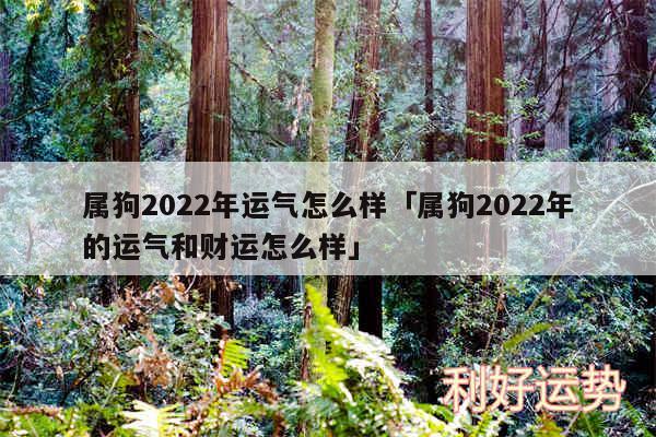 属狗2024年运气怎么样及属狗2024年的运气和财运怎么样