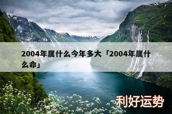 2004年属什么今年多大及2004年属什么命