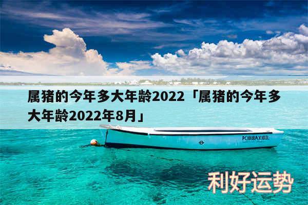 属猪的今年多大年龄2024及属猪的今年多大年龄2024年8月