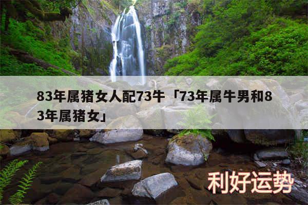 83年属猪女人配73牛及73年属牛男和83年属猪女