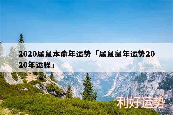 2020属鼠本命年运势及属鼠鼠年运势2020年运程