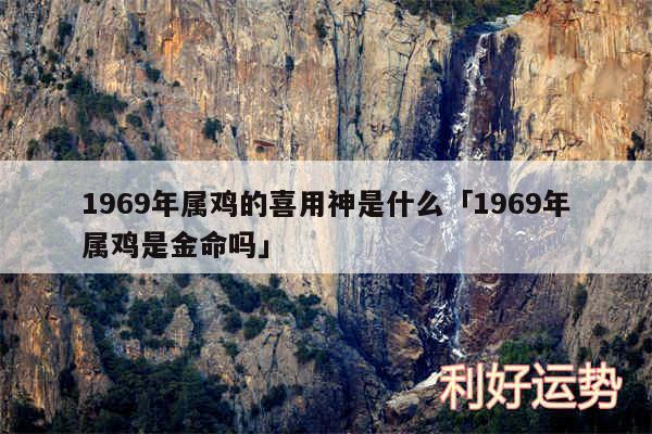 1969年属鸡的喜用神是什么及1969年属鸡是金命吗