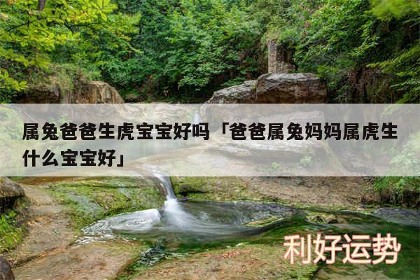 属兔爸爸生虎宝宝好吗及爸爸属兔妈妈属虎生什么宝宝好