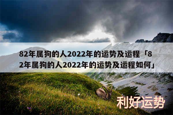 82年属狗的人2024年的运势及运程及82年属狗的人2024年的运势及运程如何