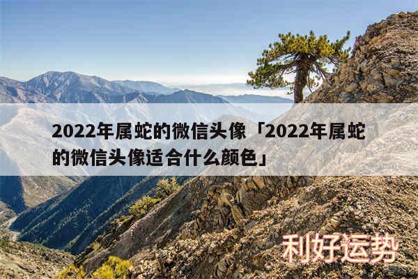 2024年属蛇的微信头像及2024年属蛇的微信头像适合什么颜色