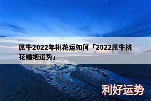 属牛2024年桃花运如何及2024属牛桃花婚姻运势