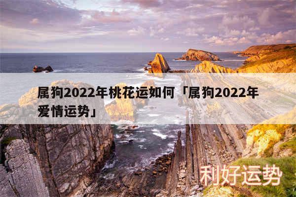 属狗2024年桃花运如何及属狗2024年爱情运势