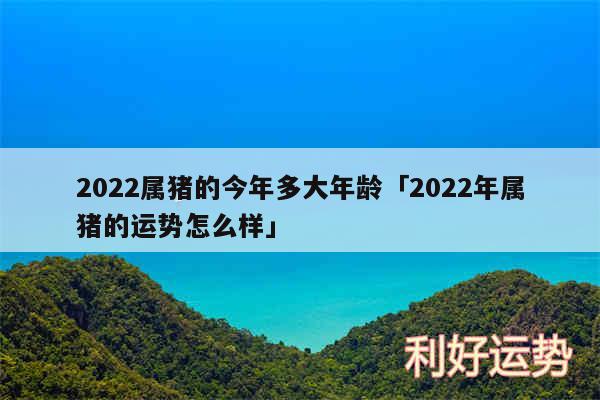 2024属猪的今年多大年龄及2024年属猪的运势怎么样