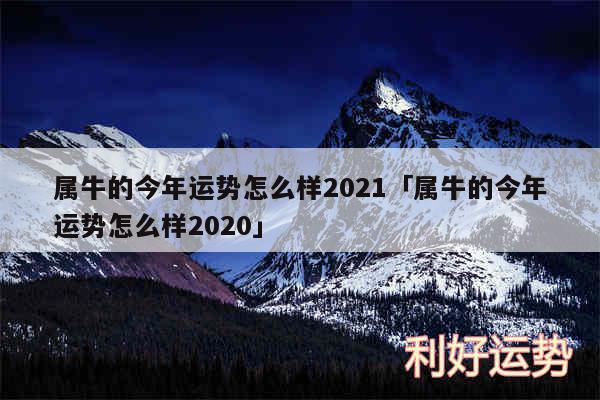 属牛的今年运势怎么样2024及属牛的今年运势怎么样2020