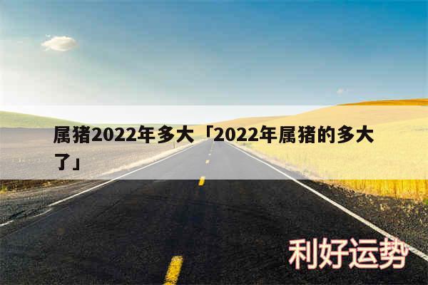 属猪2024年多大及2024年属猪的多大了