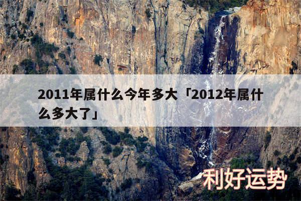 2011年属什么今年多大及2012年属什么多大了