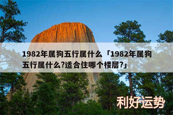 1982年属狗五行属什么及1982年属狗五行属什么?适合住哪个楼层?