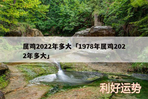 属鸡2024年多大及1978年属鸡2024年多大