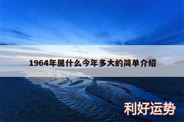 1964年属什么今年多大的简单介绍