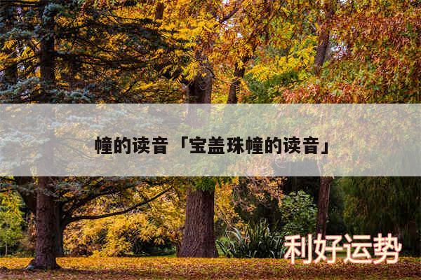 幢的读音及宝盖珠幢的读音