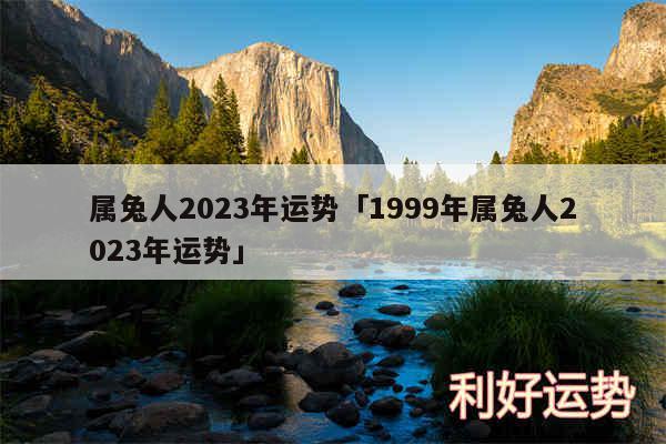 属兔人2024年运势及1999年属兔人2024年运势