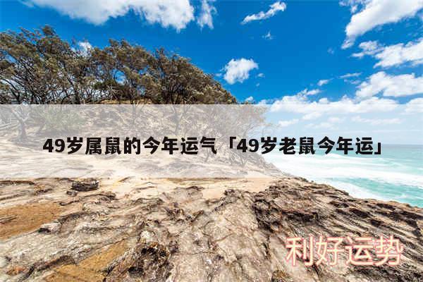 49岁属鼠的今年运气及49岁老鼠今年运