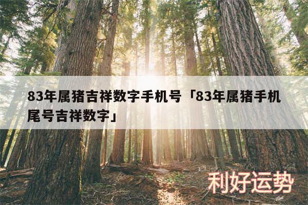 83年属猪吉祥数字手机号及83年属猪手机尾号吉祥数字