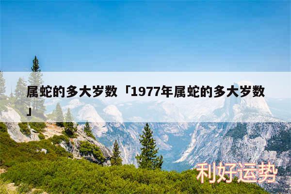 属蛇的多大岁数及1977年属蛇的多大岁数