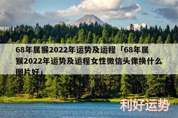 68年属猴2024年运势及运程及68年属猴2024年运势及运程女性微信头像换什么图片好