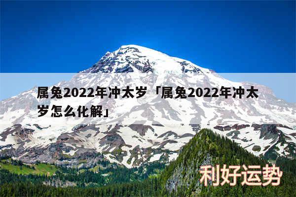 属兔2024年冲太岁及属兔2024年冲太岁怎么化解