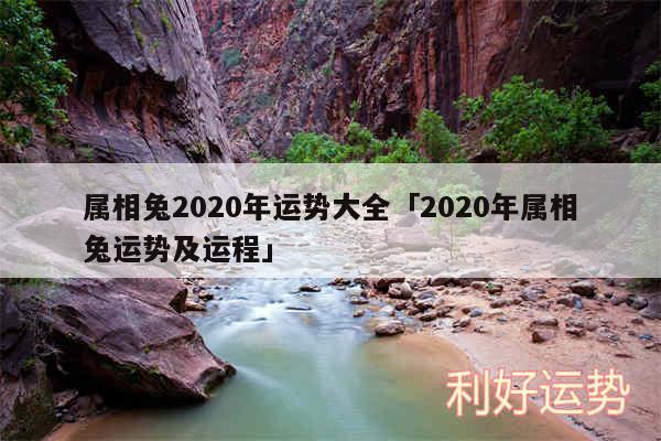 属相兔2020年运势大全及2020年属相兔运势及运程